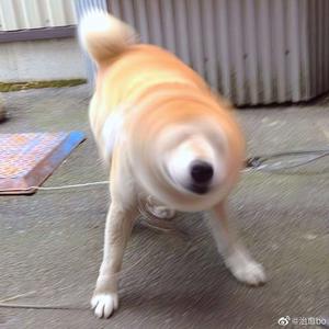 40岁农村妇女素颜照片
