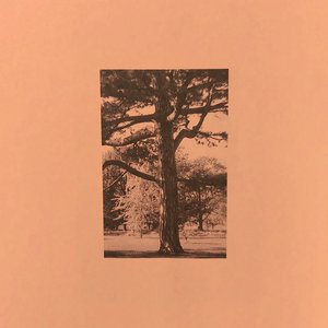 国产成人综合亚洲欧洲色就色
